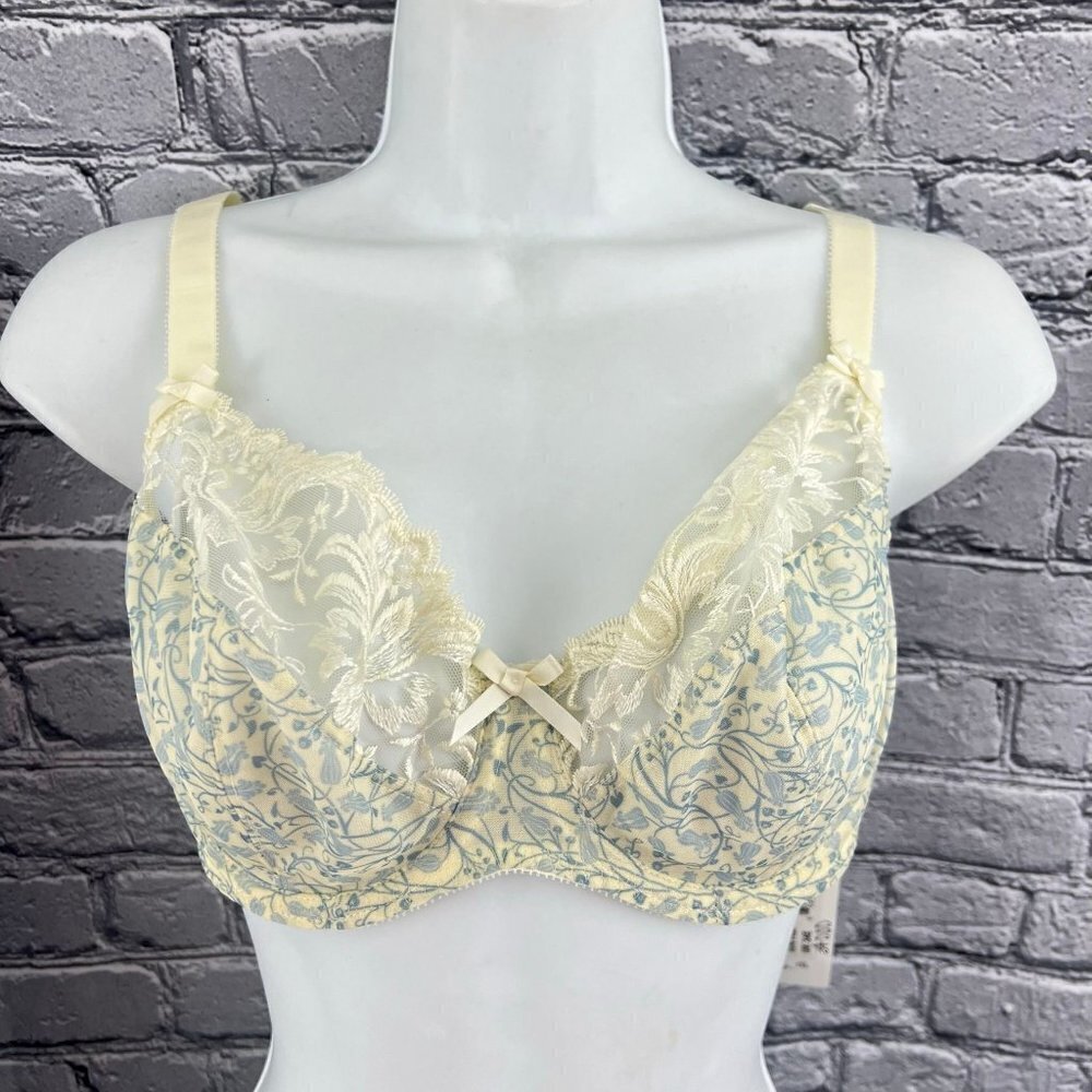 Fantasie Bra Underwire Lace Floral Size 34E 34 DD 6715BL